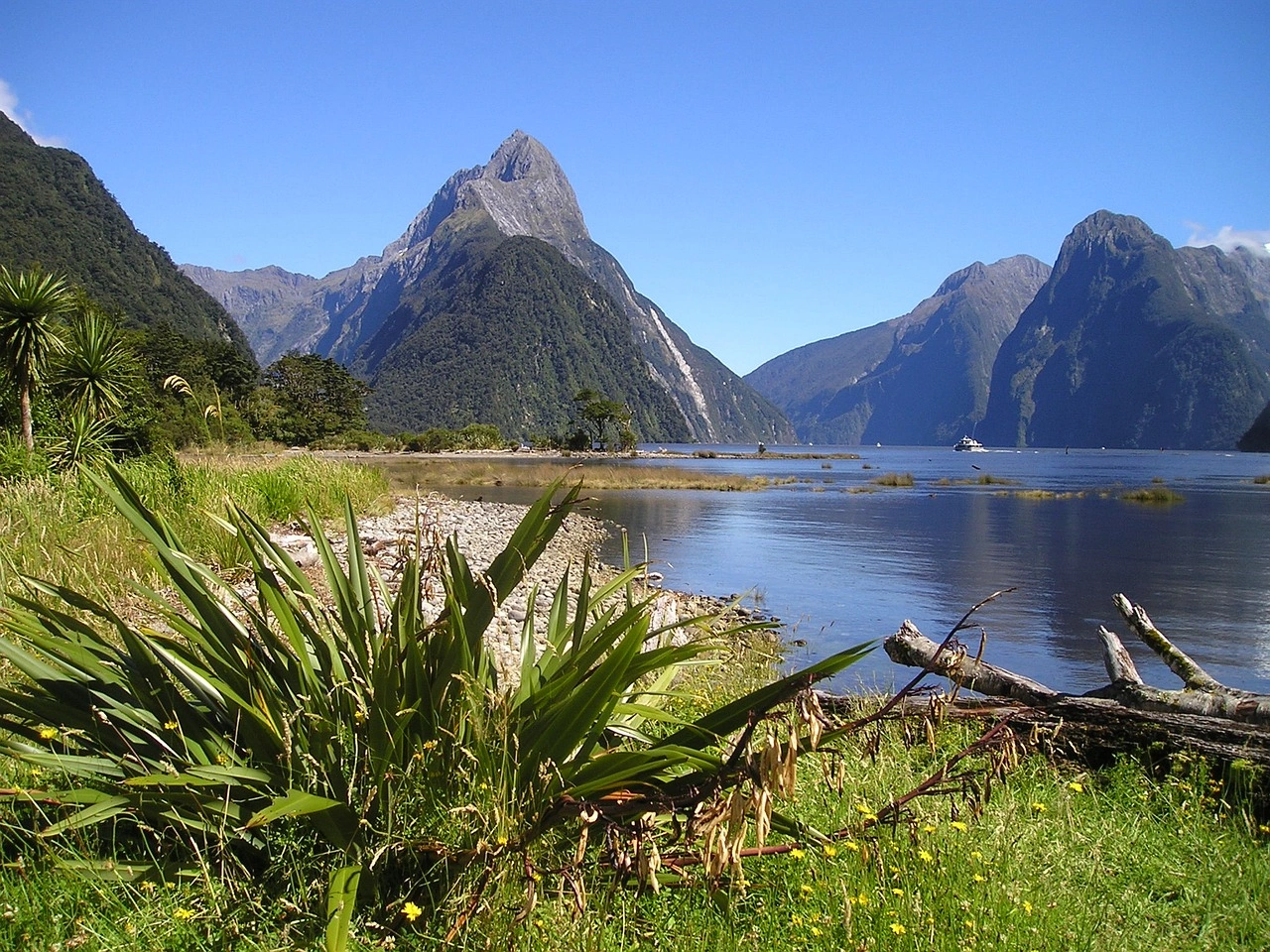 View of Milford Sound in Fiordland National Park, New Zealand, with steep mountain peaks, calm water and lush green vegetation under a clear blue sky.